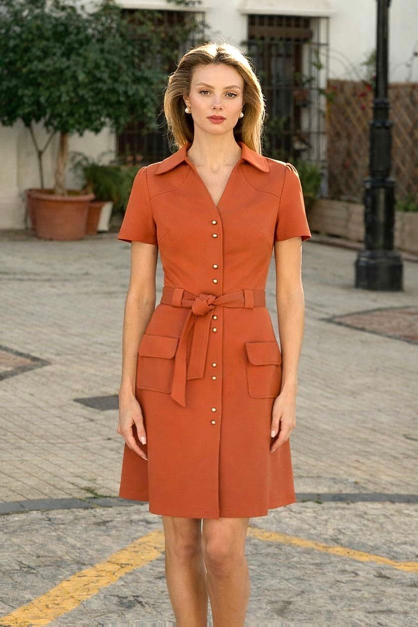 Paris Belted Dress